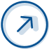 Vision Icon